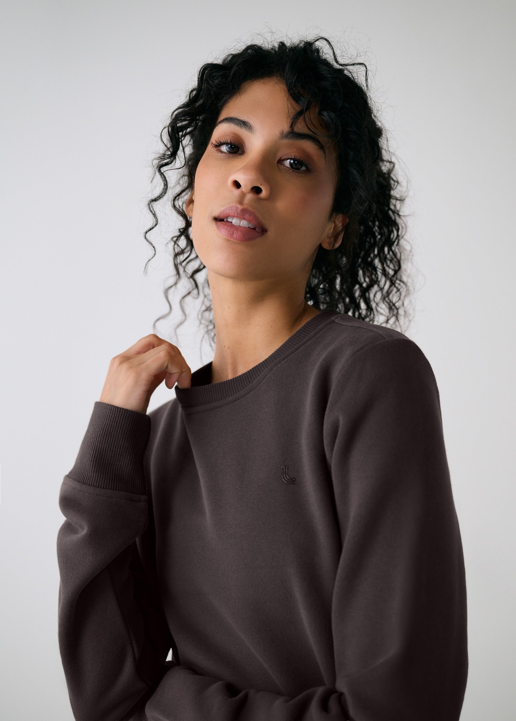 Lolë Icone Crew Neck Pullover in Java dark brown